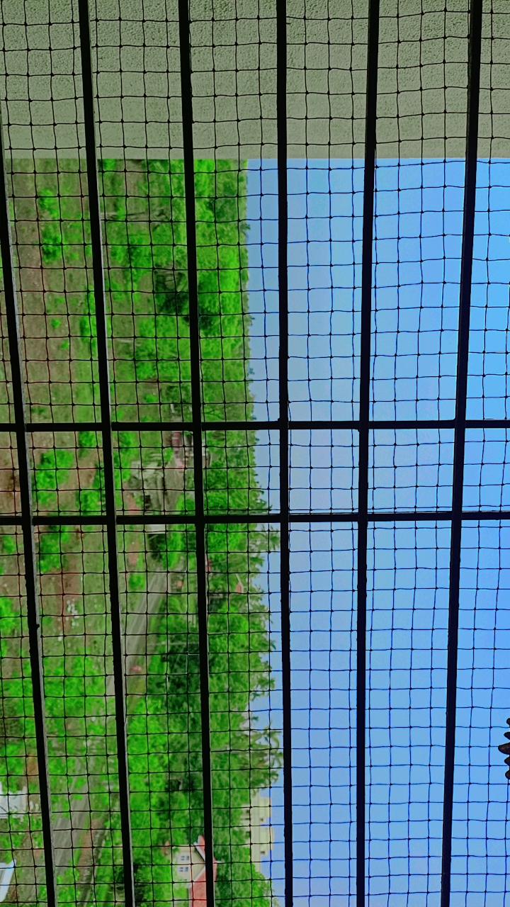 Safe and Durable Home Pigeon Netting by AS Enterprises